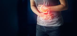 Gut Health program at Dacha