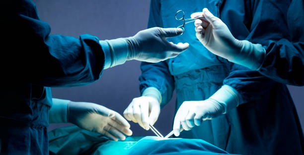 Surgery program at Dacha